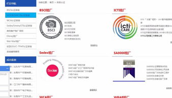 速訊企業(yè)管理咨詢公司 業(yè)務概覽與職業(yè)發(fā)展前景探析